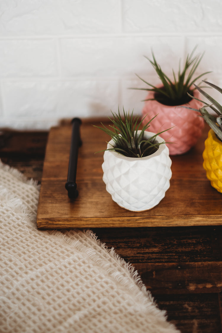 Concrete Planters & Containers