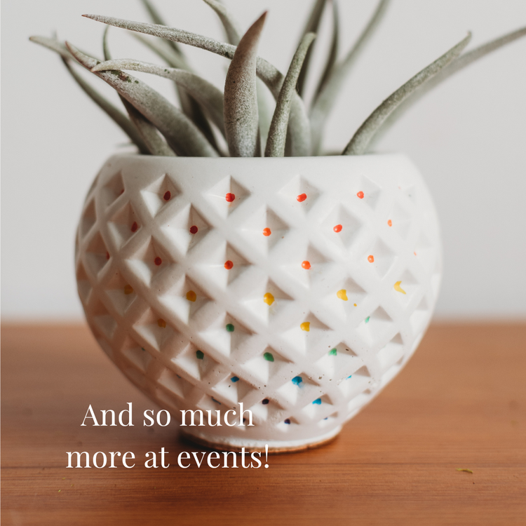 All Home Decor