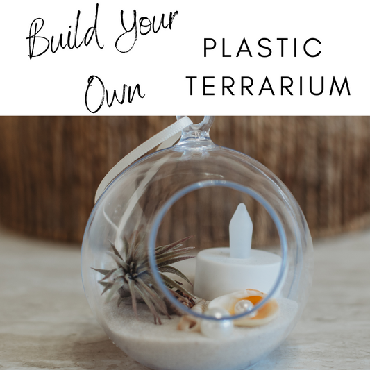 DIY Air Plant Terrarium Kit: Build Your Own Plastic Globe Decor