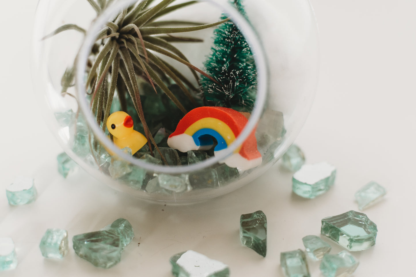 DIY Gender Reveal Air Plant Terrarium Kit: Build Your Own Baby Shower Decor