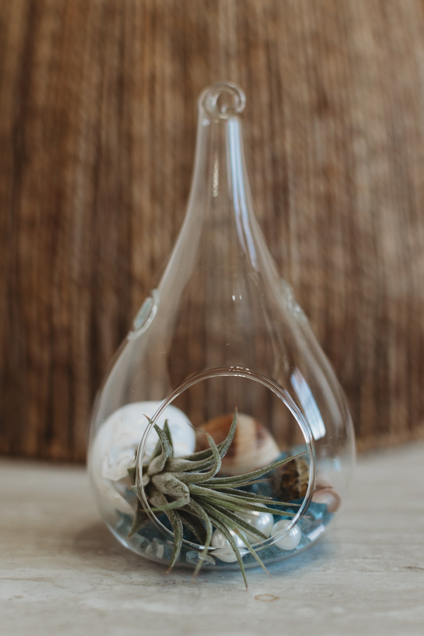 DIY Air Plant Terrarium Kit: Build Your Own Glass Teardrop Decor
