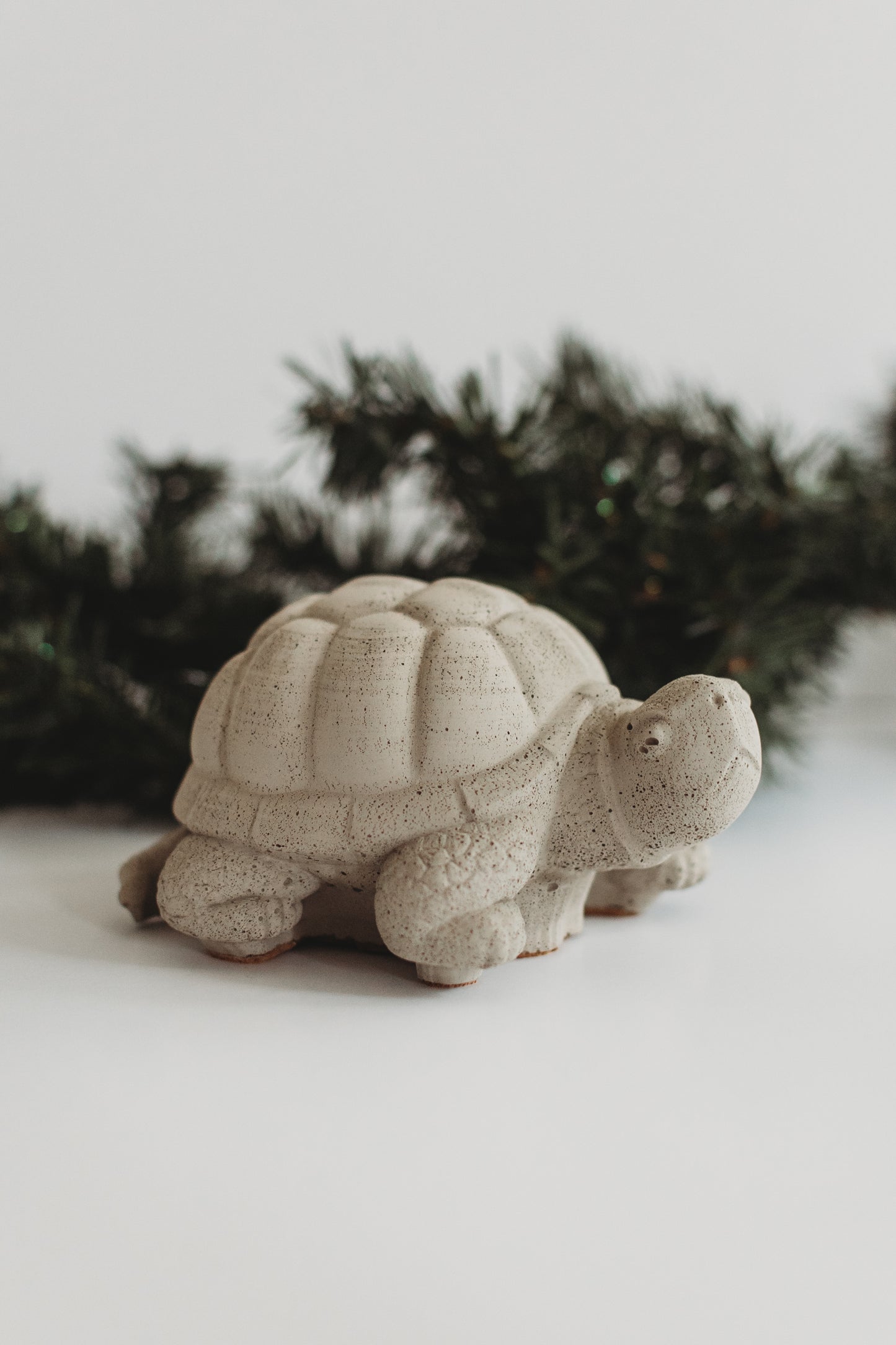 Jumbo Concrete Turtle | Paint Your Own Decor Kit | Paint Your Own Activity Set | Paint Your Own Handmade Concrete Gift Set
