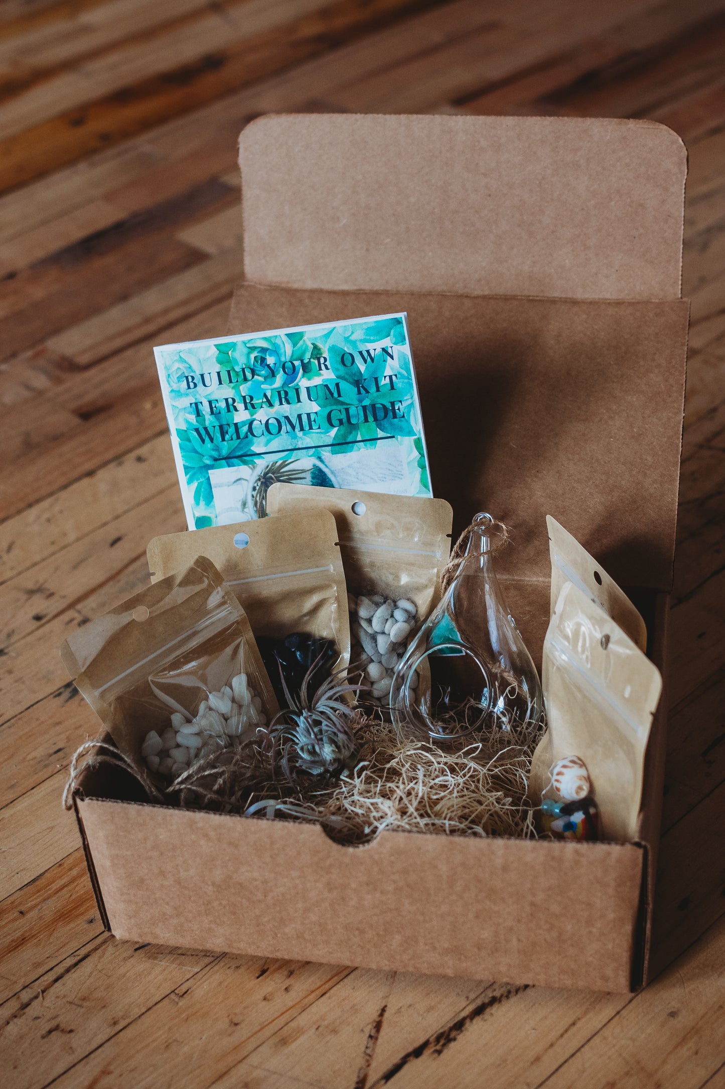 DIY Flora & Fauna Air Plant Terrarium Kit: Build Your Own Home Decor
