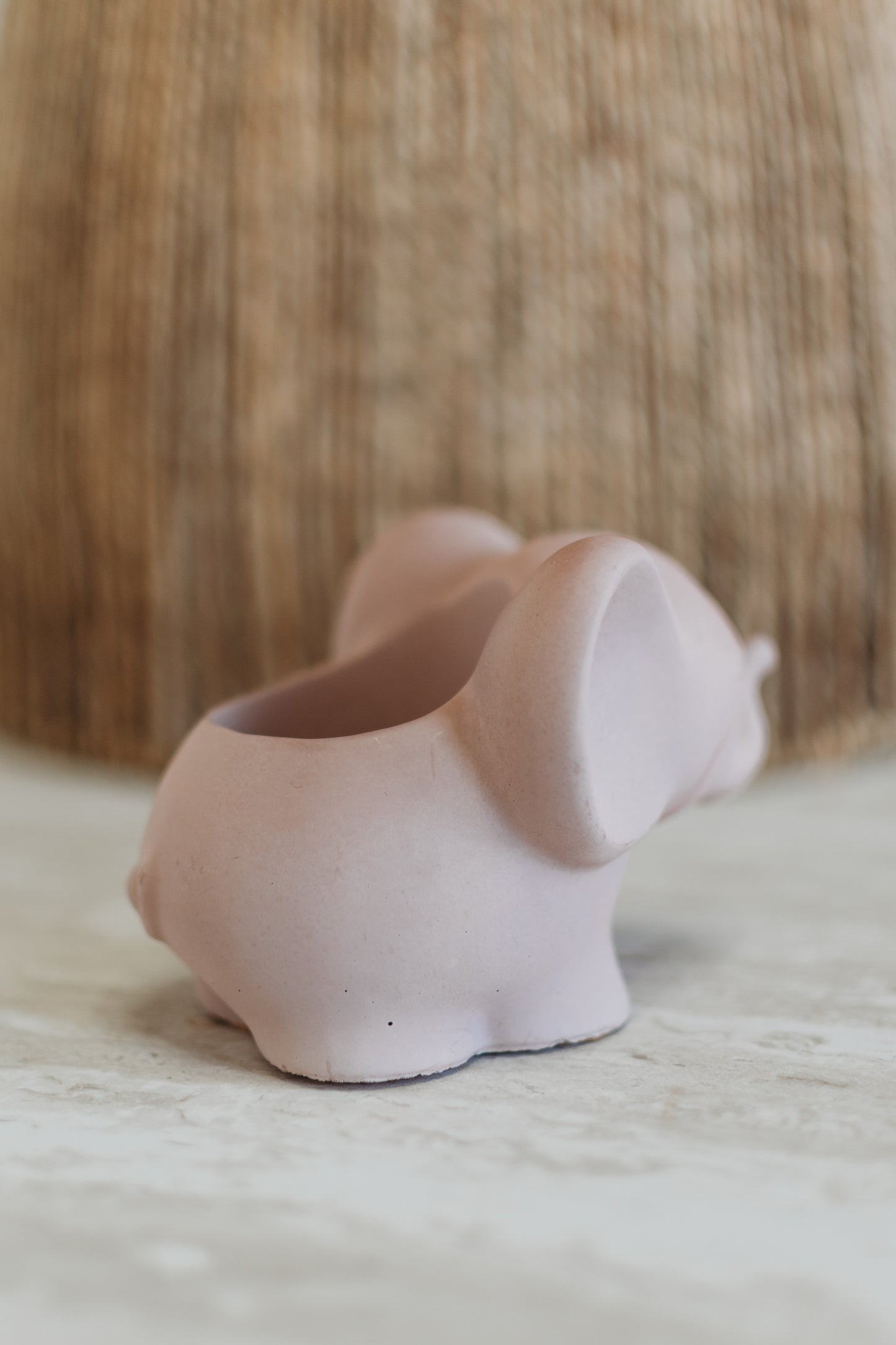 Handmade Concrete Elephant Container: Cement Planter with Air Plant or Pencil Holder