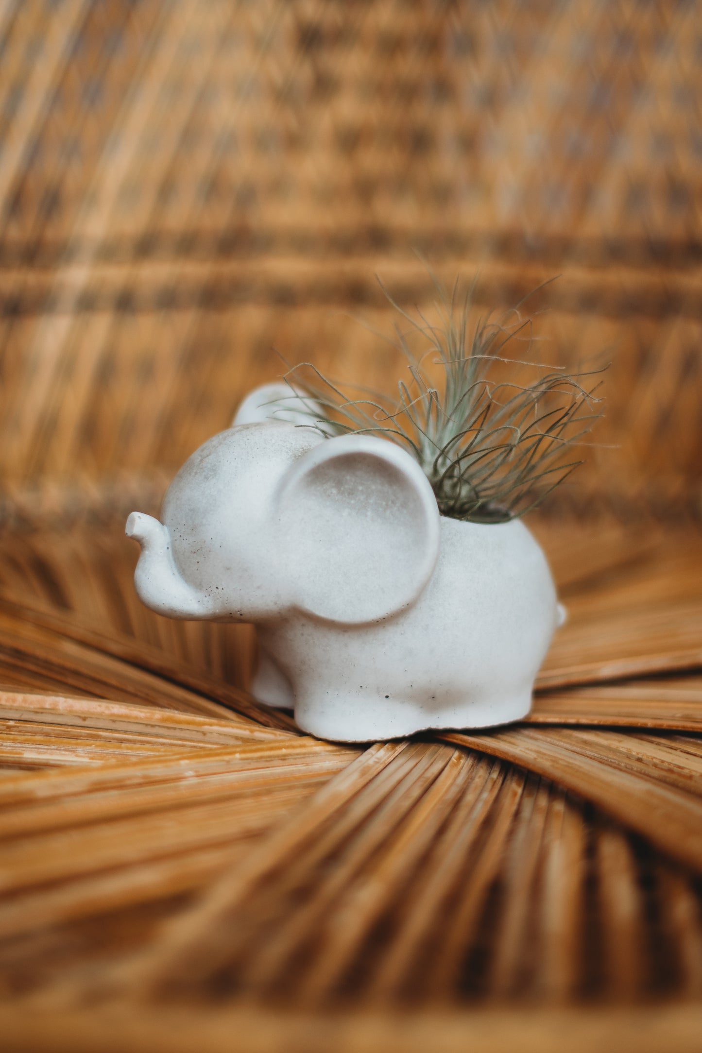 Handmade Concrete Elephant Container: Cement Planter with Air Plant or Pencil Holder