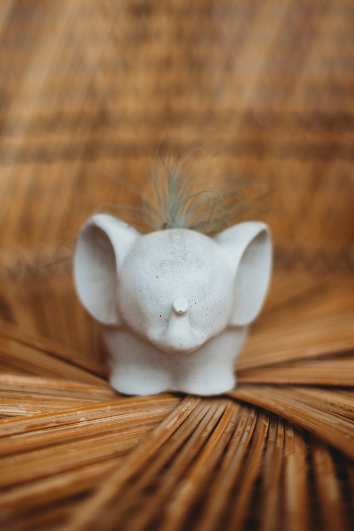 Handmade Concrete Elephant Container: Cement Planter with Air Plant or Pencil Holder
