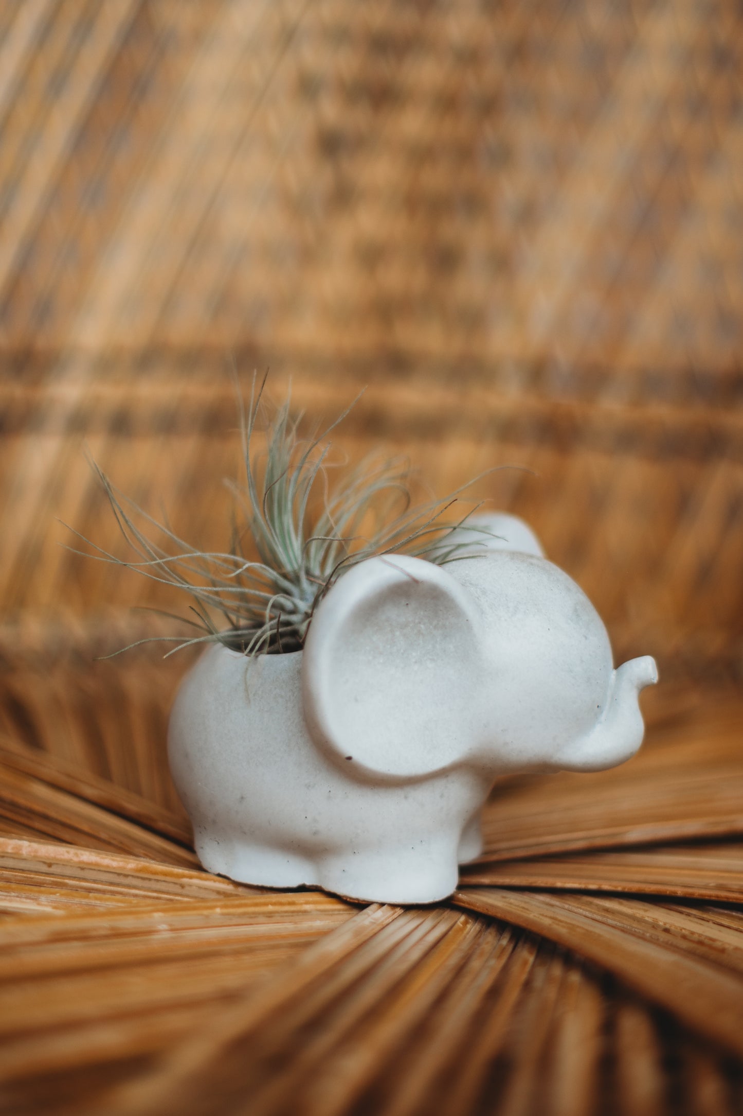 Handmade Concrete Elephant Container: Cement Planter with Air Plant or Pencil Holder