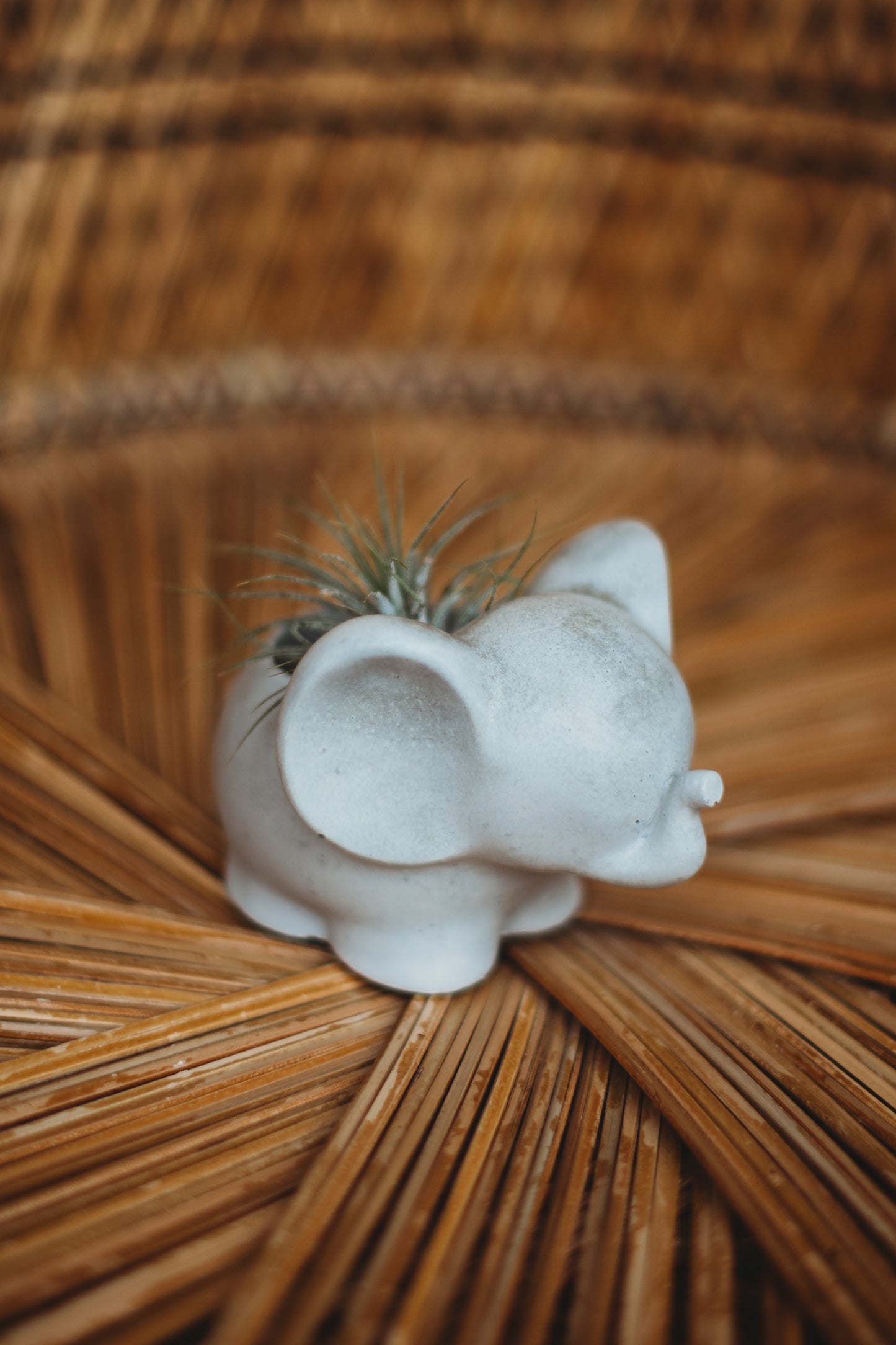 Handmade Concrete Elephant Container: Cement Planter with Air Plant or Pencil Holder