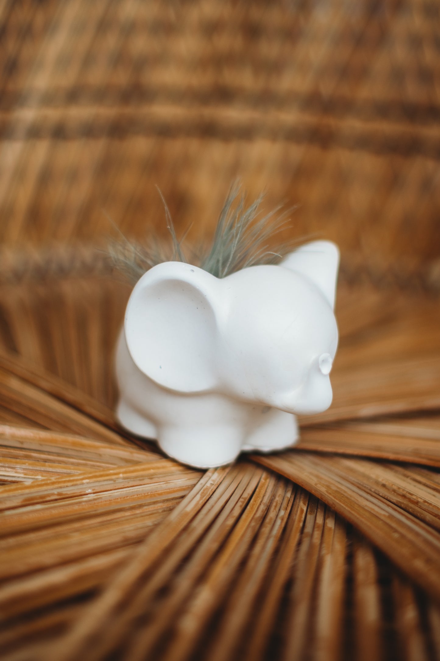 Handmade Concrete Elephant Container: Cement Planter with Air Plant or Pencil Holder