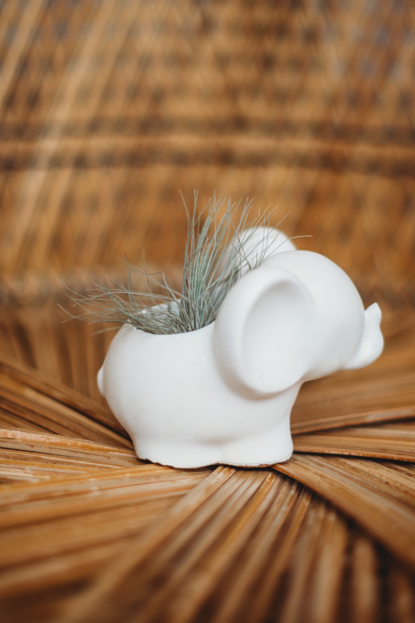 Handmade Concrete Elephant Container: Cement Planter with Air Plant or Pencil Holder