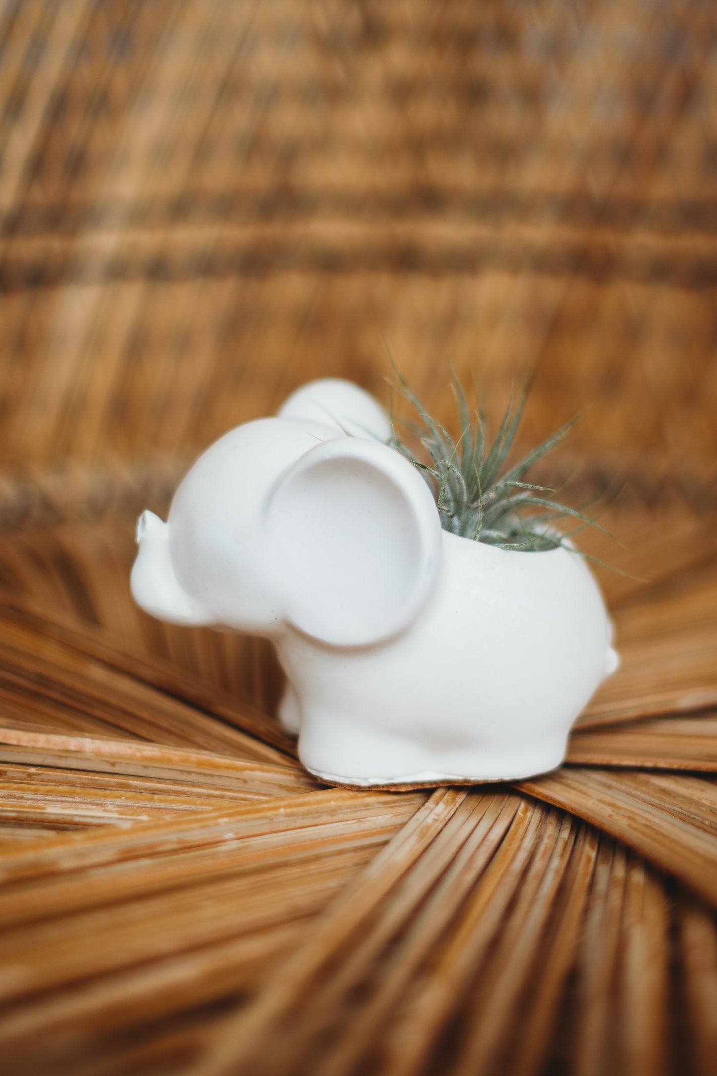 Handmade Concrete Elephant Container: Cement Planter with Air Plant or Pencil Holder