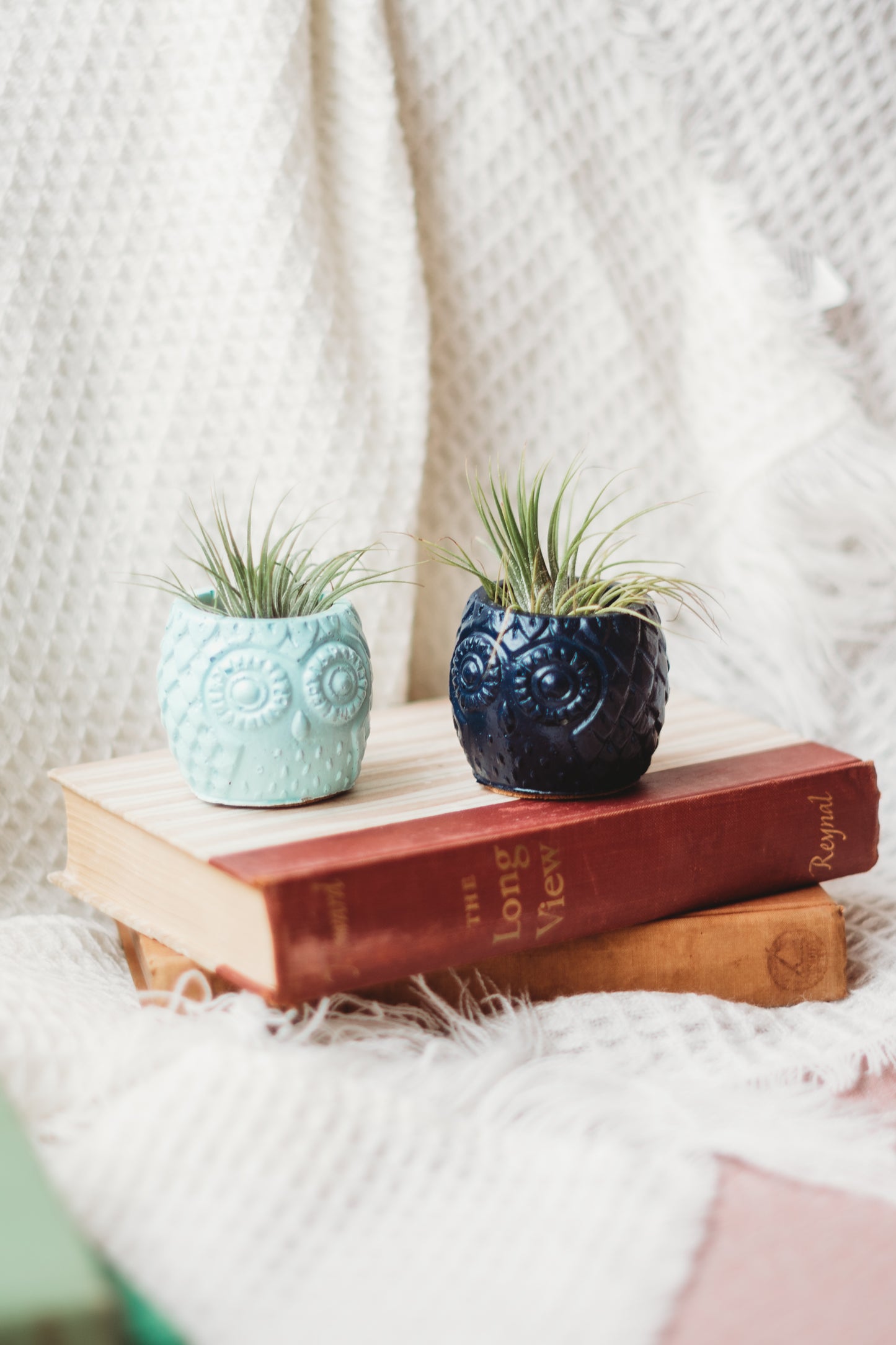 Handmade Owl Decor | Mini Concrete Owl Container | Succulent Planter | Air Plant Holder