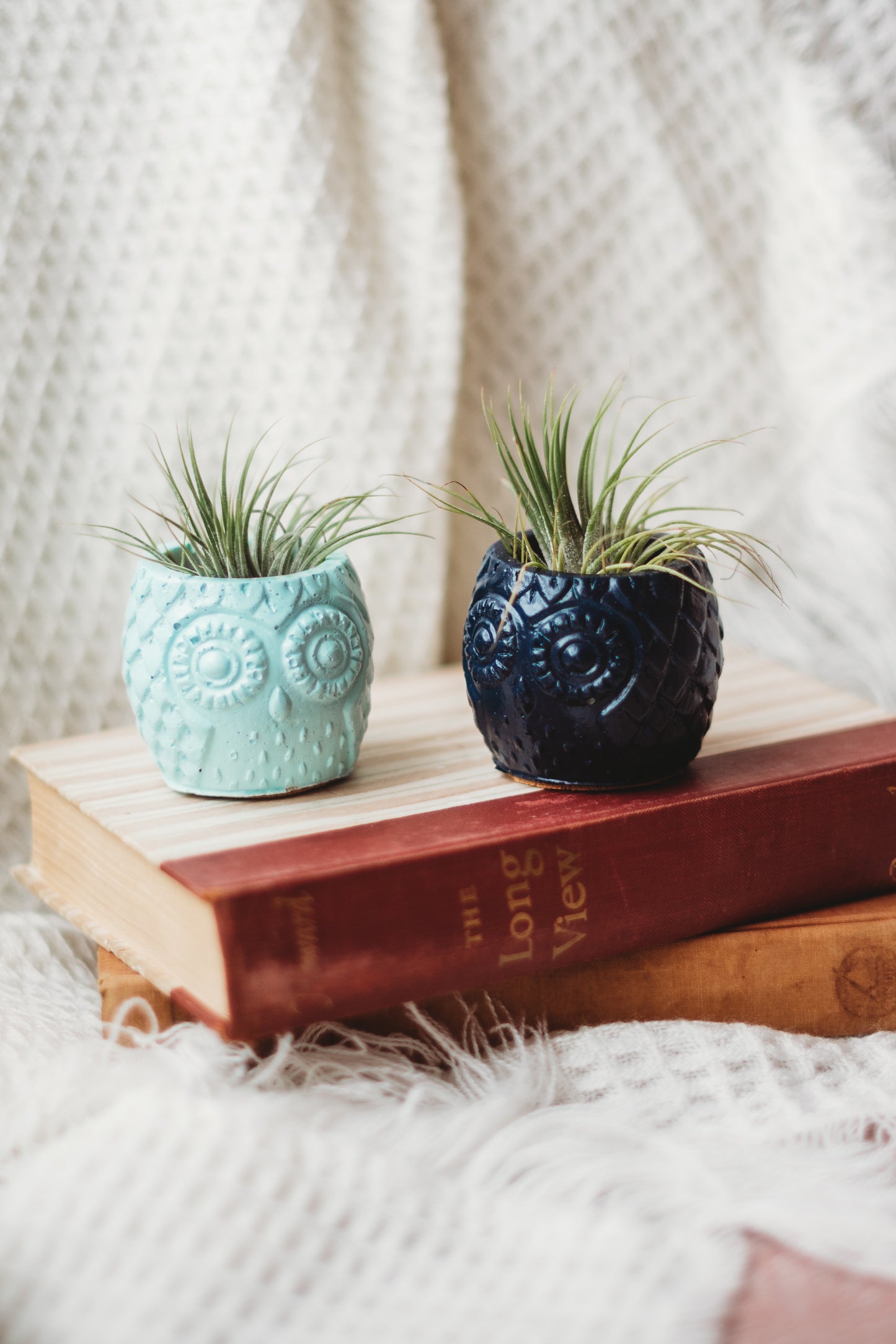 Handmade Owl Decor | Mini Concrete Owl Container | Succulent Planter | Air Plant Holder