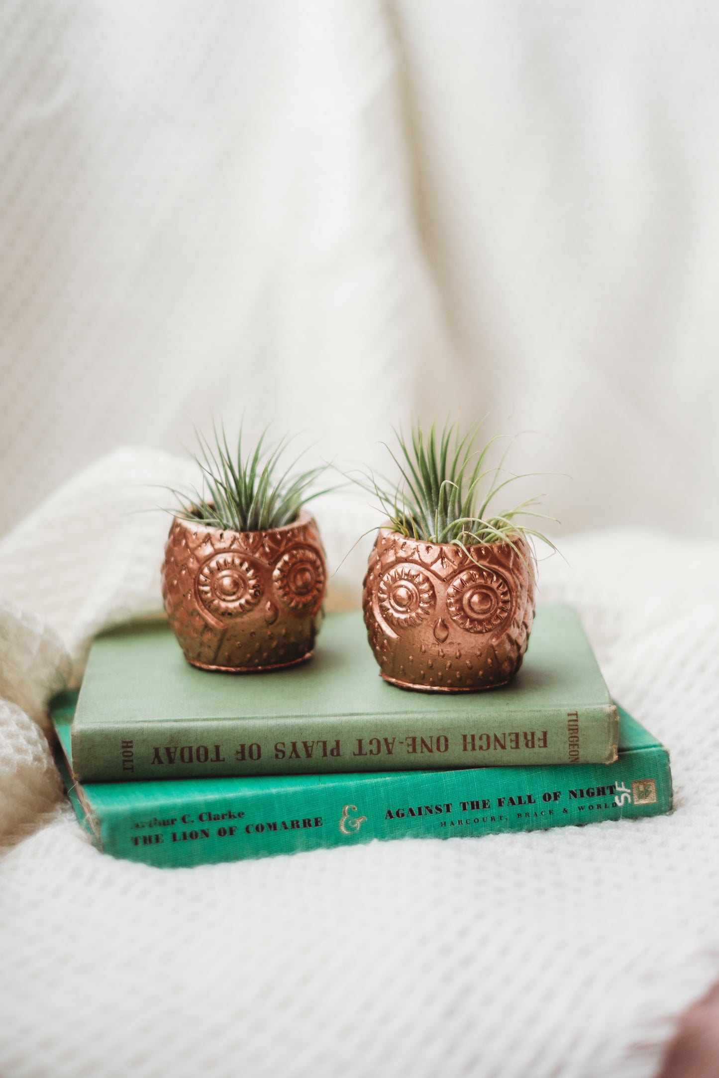 Handmade Owl Decor | Mini Concrete Owl Container | Succulent Planter | Air Plant Holder