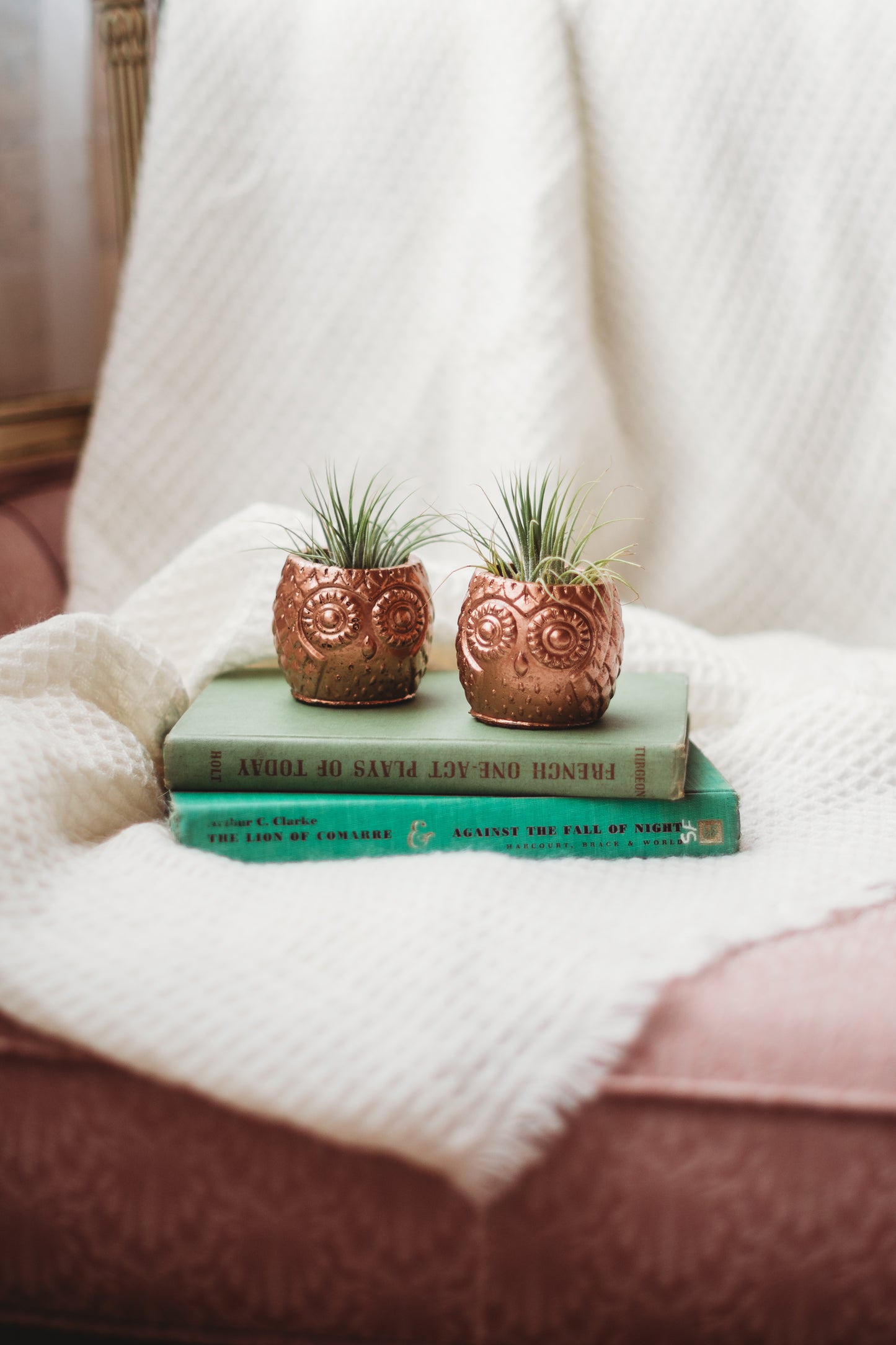 Handmade Owl Decor | Mini Concrete Owl Container | Succulent Planter | Air Plant Holder