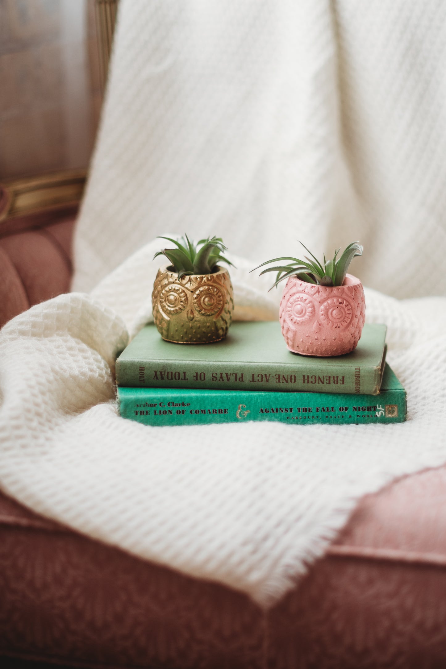 Handmade Owl Decor | Mini Concrete Owl Container | Succulent Planter | Air Plant Holder