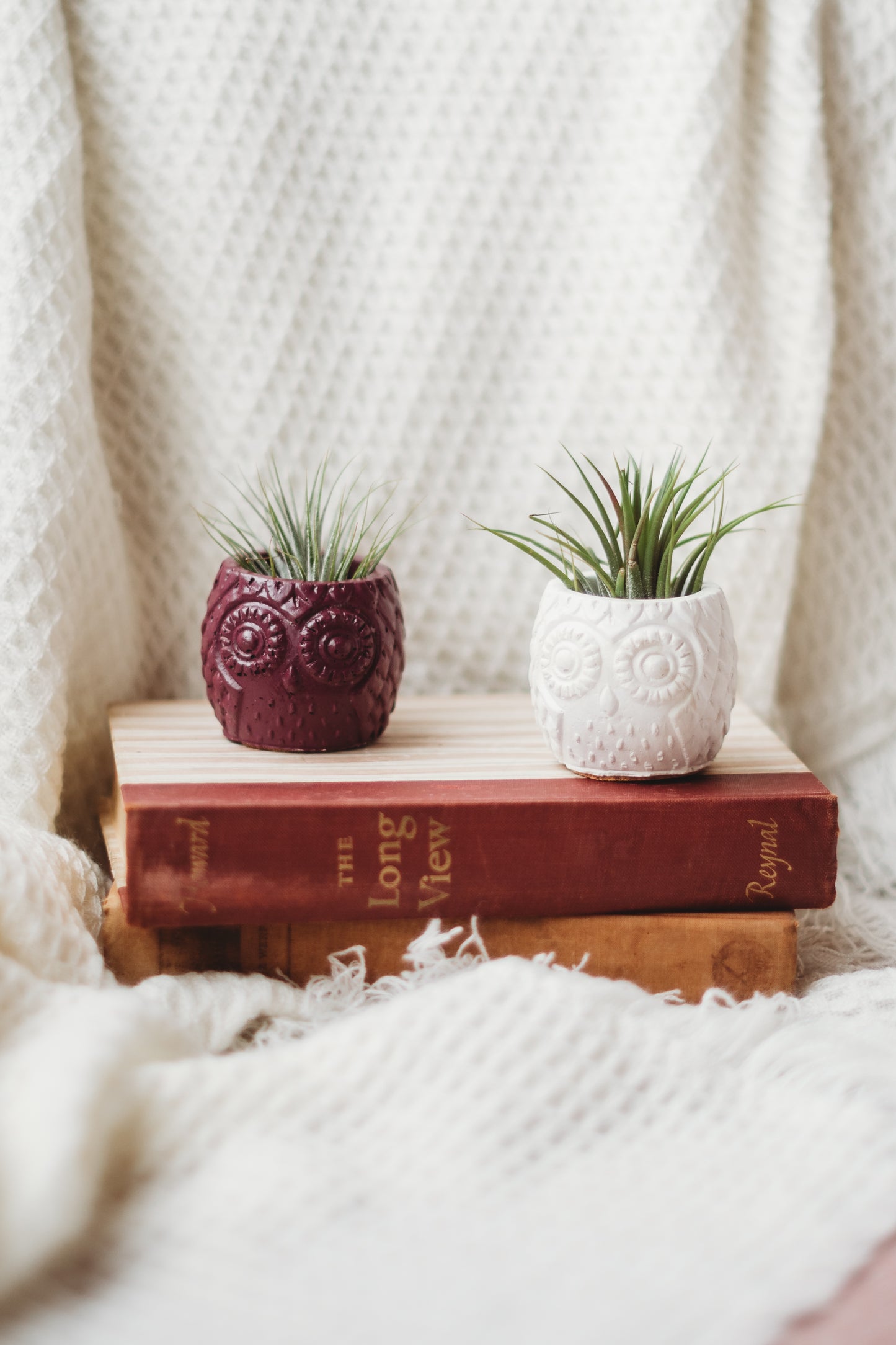 Handmade Owl Decor | Mini Concrete Owl Container | Succulent Planter | Air Plant Holder
