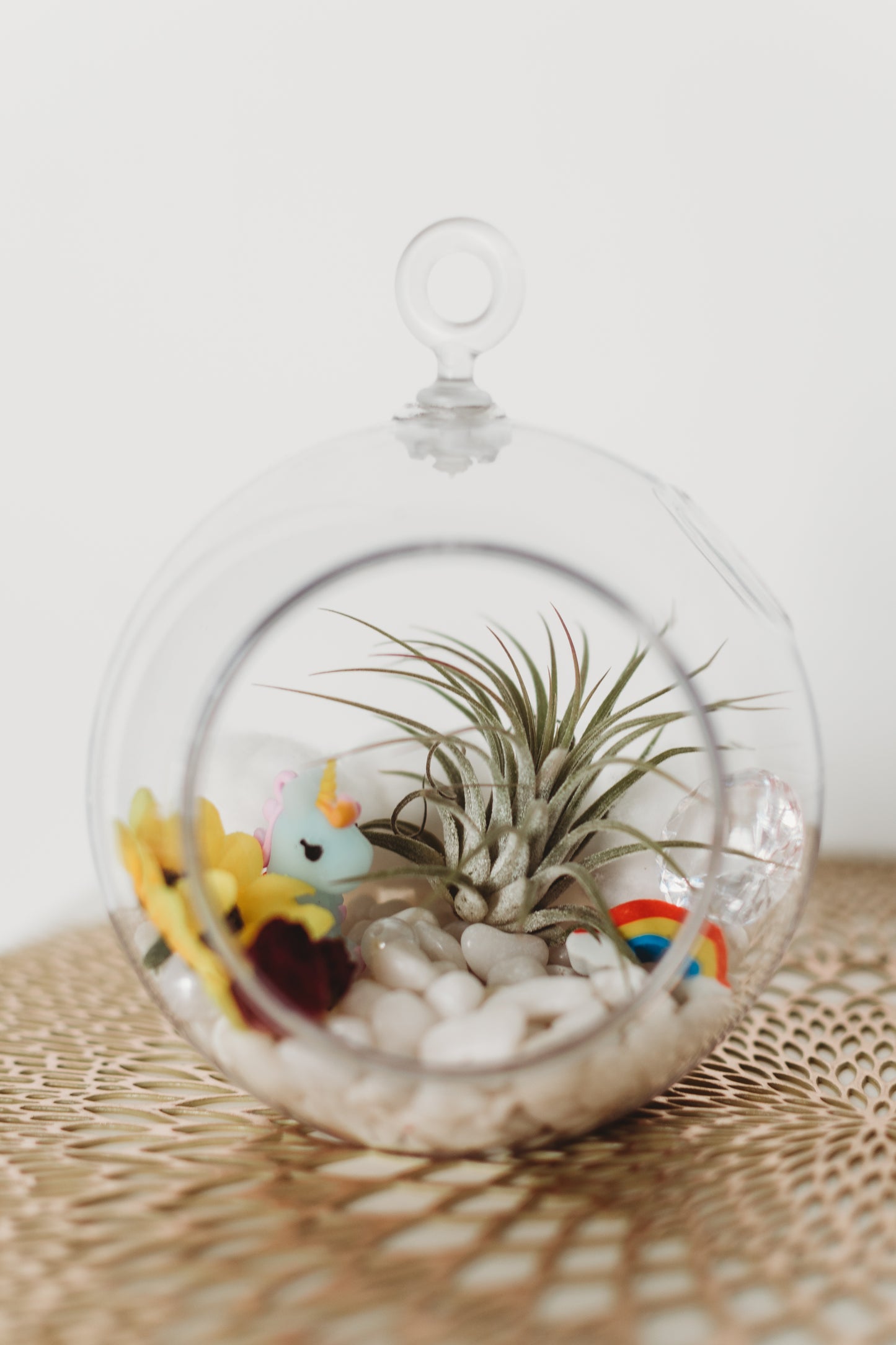 Unicorn Terrarium | Build Your Own Terrarium Kit | Do It Yourself Air Plant Terrarium