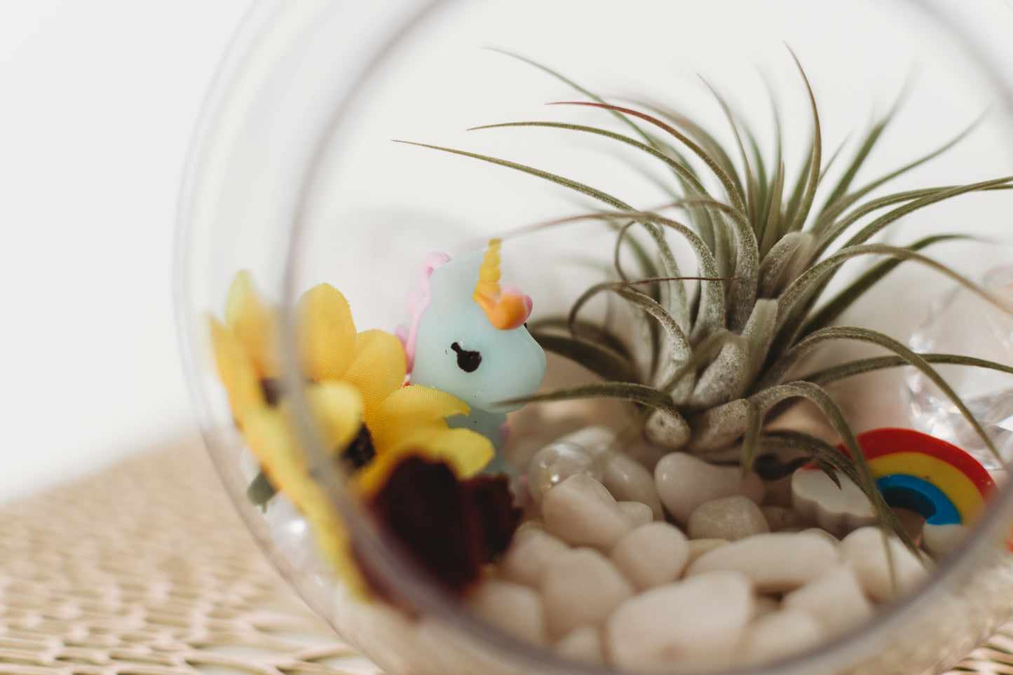 Unicorn Terrarium | Build Your Own Terrarium Kit | Do It Yourself Air Plant Terrarium