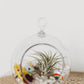 Unicorn Terrarium | Build Your Own Terrarium Kit | Do It Yourself Air Plant Terrarium