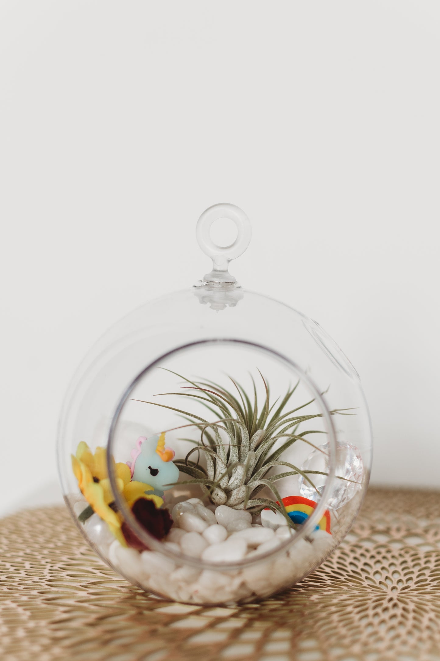 Unicorn Terrarium | Build Your Own Terrarium Kit | Do It Yourself Air Plant Terrarium