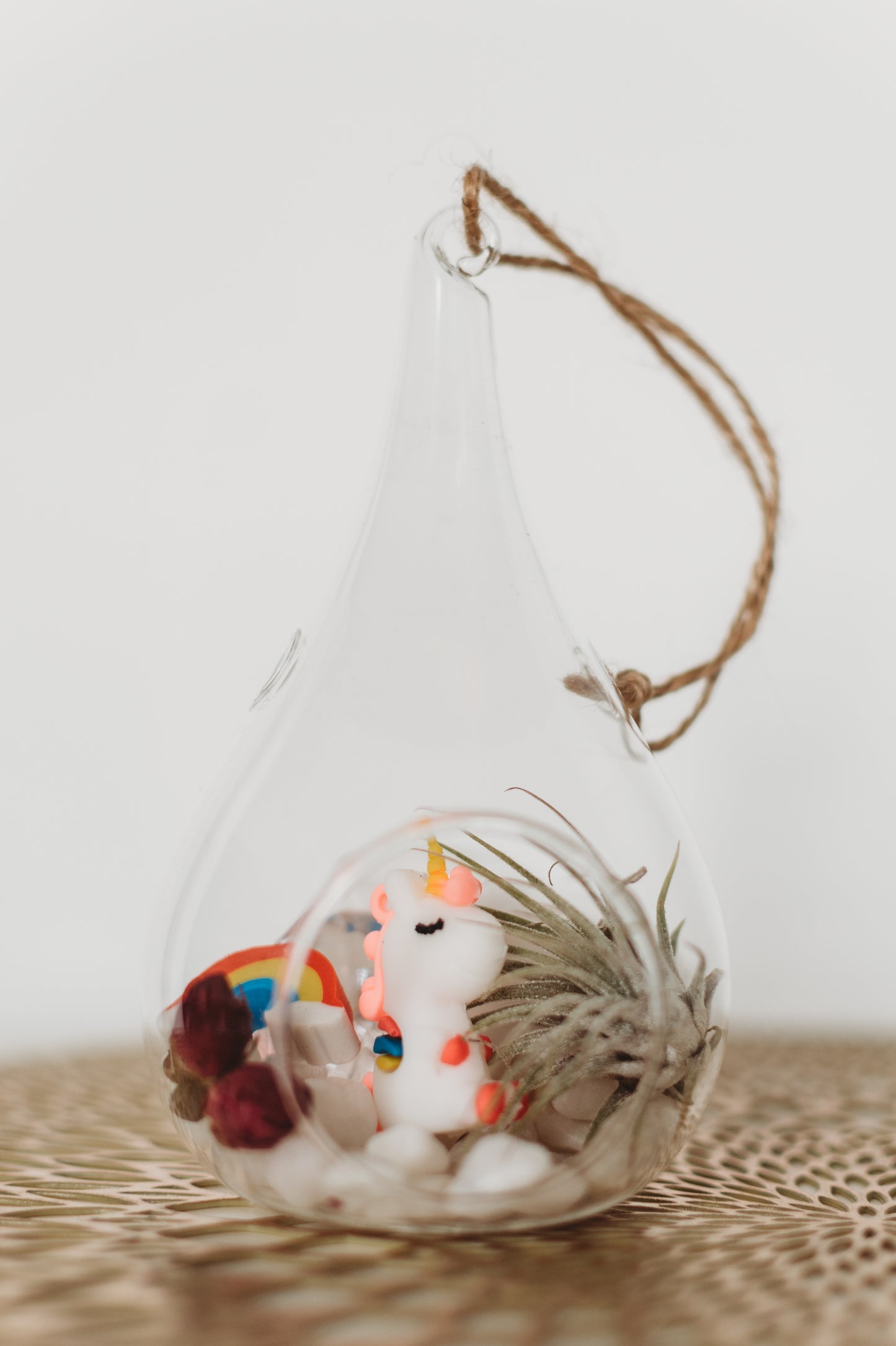 Unicorn Terrarium | Build Your Own Terrarium Kit | Do It Yourself Air Plant Terrarium