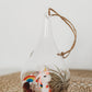 Unicorn Terrarium | Build Your Own Terrarium Kit | Do It Yourself Air Plant Terrarium