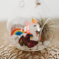 Unicorn Terrarium | Build Your Own Terrarium Kit | Do It Yourself Air Plant Terrarium