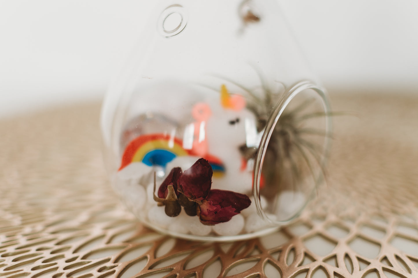 Unicorn Terrarium | Build Your Own Terrarium Kit | Do It Yourself Air Plant Terrarium