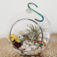 Unicorn Terrarium | Build Your Own Terrarium Kit | Do It Yourself Air Plant Terrarium