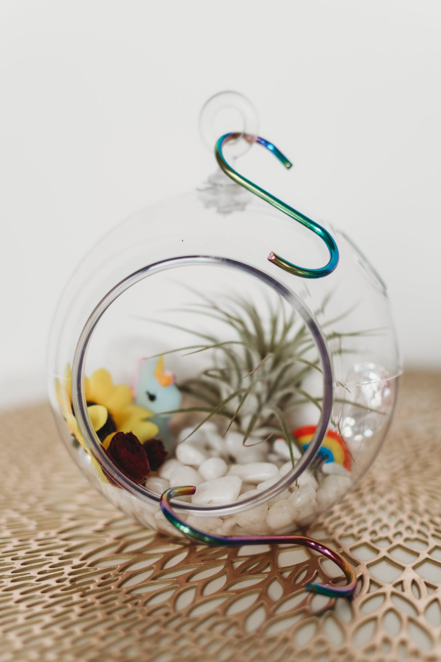 Unicorn Terrarium | Build Your Own Terrarium Kit | Do It Yourself Air Plant Terrarium