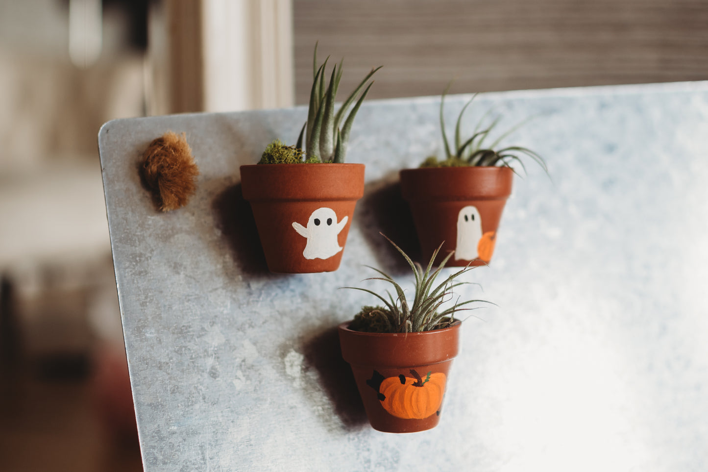 Autumn Hand-Painted Mini Pot Magnets | Mini Fall Plant Magnets | Plant Refrigerator Magnets