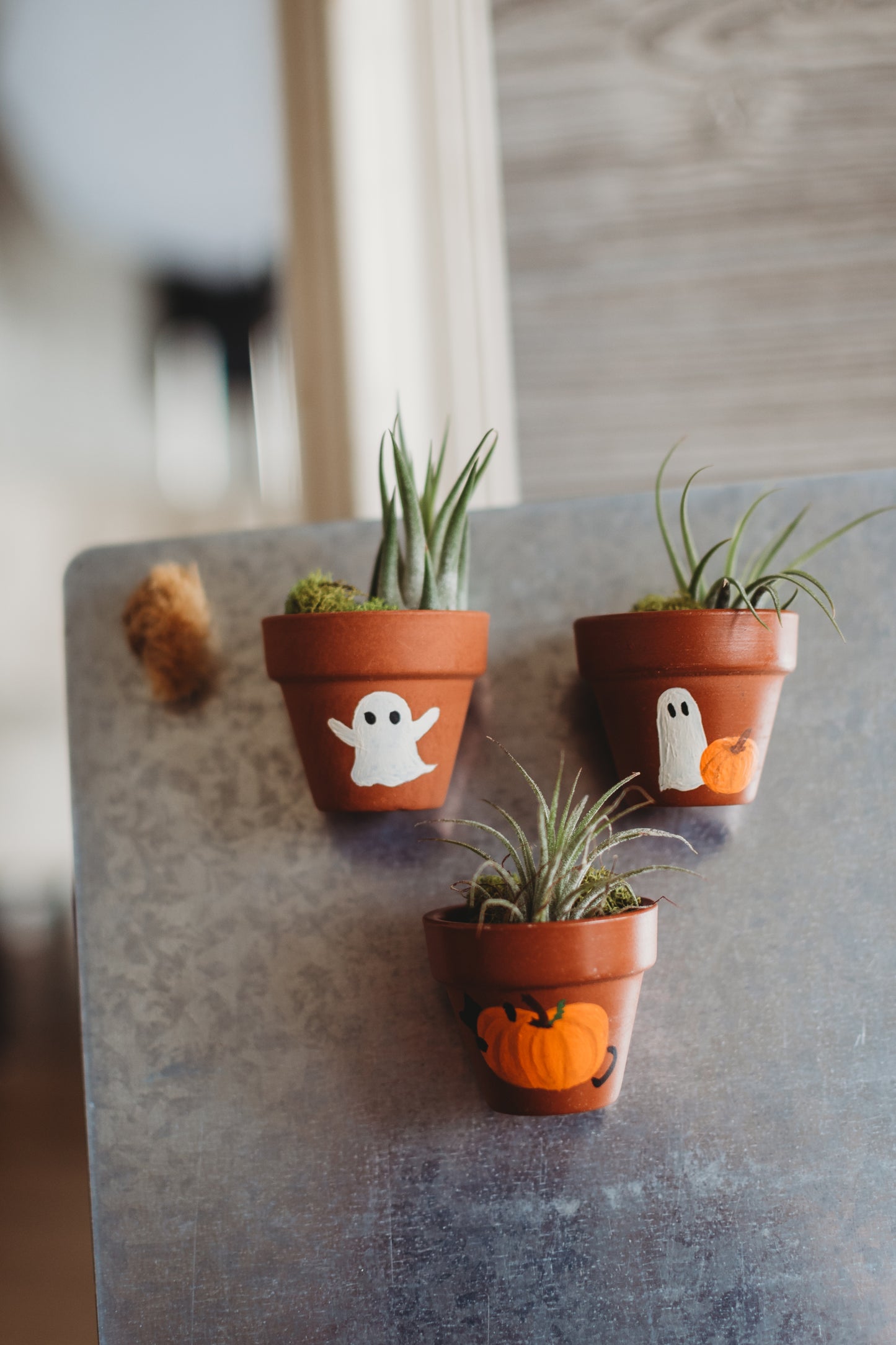 Autumn Hand-Painted Mini Pot Magnets | Mini Fall Plant Magnets | Plant Refrigerator Magnets