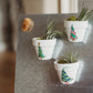 Holiday Hand-Painted Mini Pot Magnets | Mini Christmas Plant Magnets | Plant Refrigerator Magnets