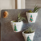 Holiday Hand-Painted Mini Pot Magnets | Mini Christmas Plant Magnets | Plant Refrigerator Magnets