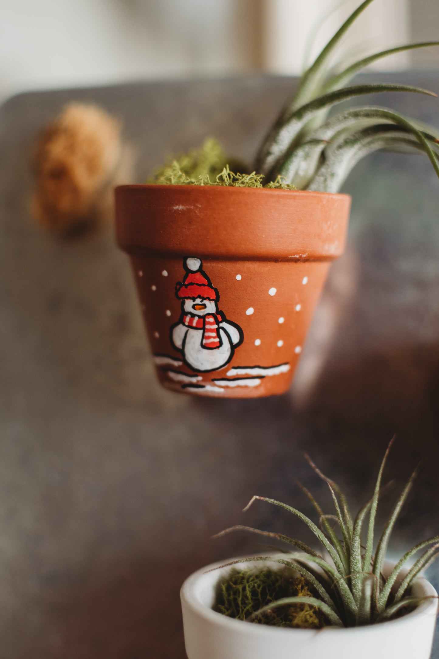 Holiday Hand-Painted Mini Pot Magnets | Mini Christmas Plant Magnets | Plant Refrigerator Magnets