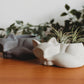 Sleeping Fox Decor | Handmade Fox Concrete Planter | Fox Cement Air Plant Container