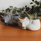 Sleeping Fox Decor | Handmade Fox Concrete Planter | Fox Cement Air Plant Container