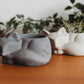 Sleeping Fox Decor | Handmade Fox Concrete Planter | Fox Cement Air Plant Container