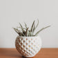 Small Diamond-Patterned Holder | Handmade Concrete Holder | Geometric Cement Planter