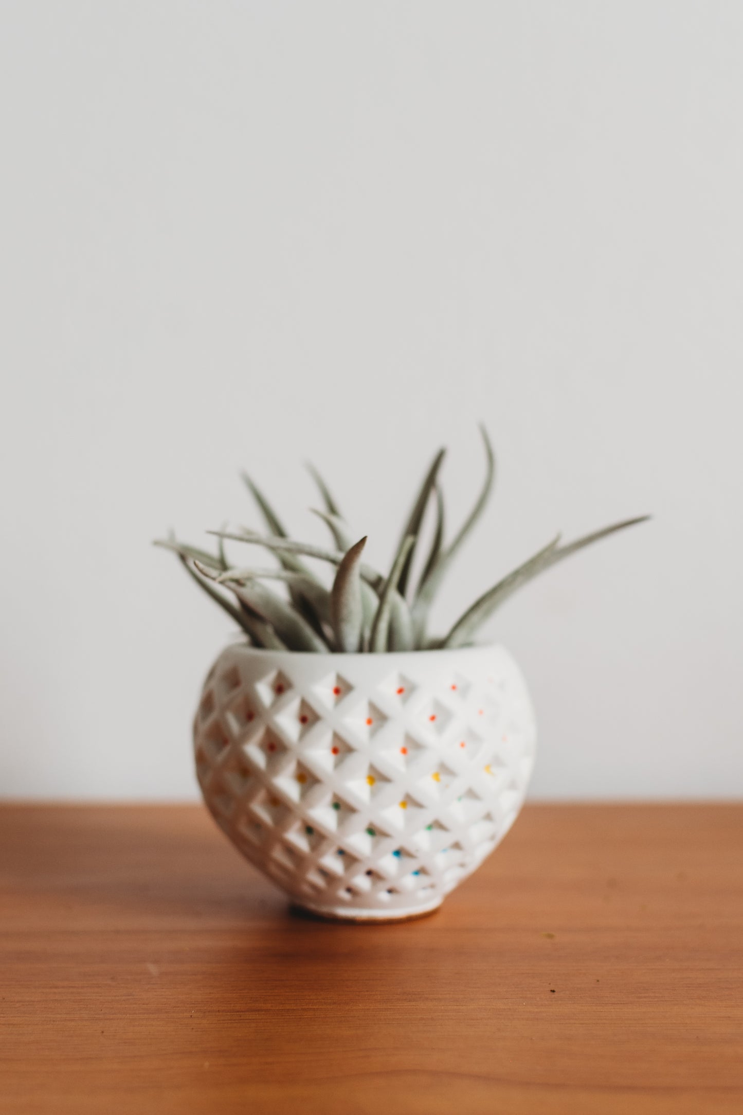 Small Diamond-Patterned Holder | Handmade Concrete Holder | Geometric Cement Planter