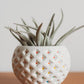 Small Diamond-Patterned Holder | Handmade Concrete Holder | Geometric Cement Planter