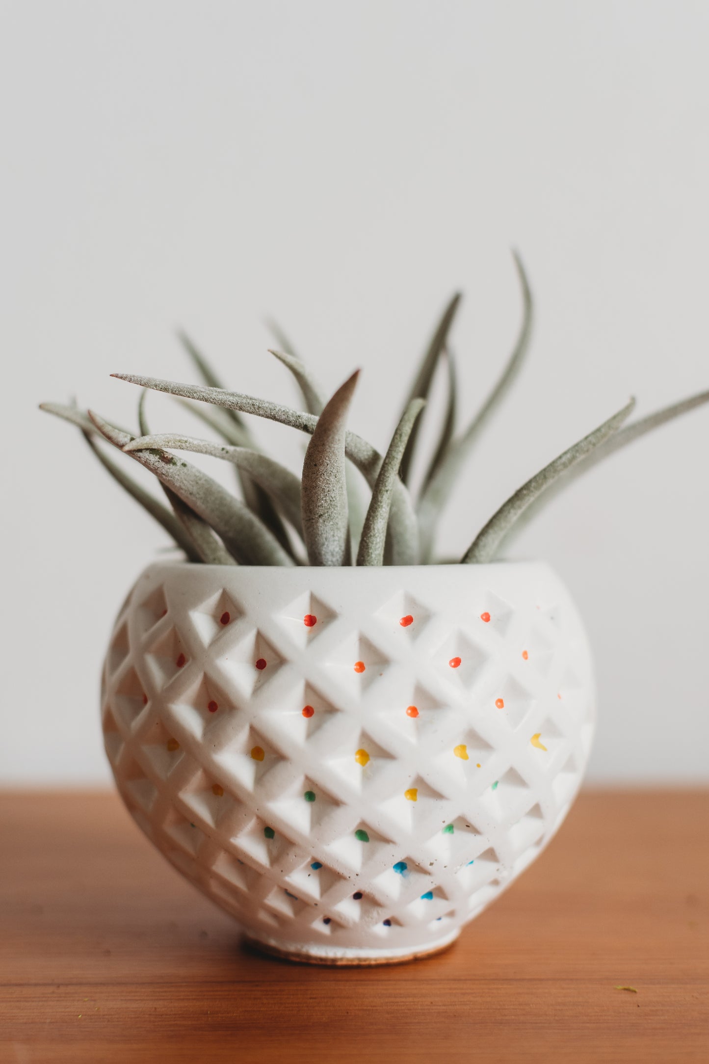 Small Diamond-Patterned Holder | Handmade Concrete Holder | Geometric Cement Planter