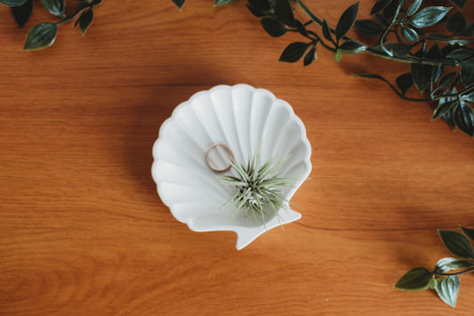 Scalloped Shell Concrete Dish | Clam Shell Beach Decor | Fan Shell Trinket Tray | Air Plant Holder