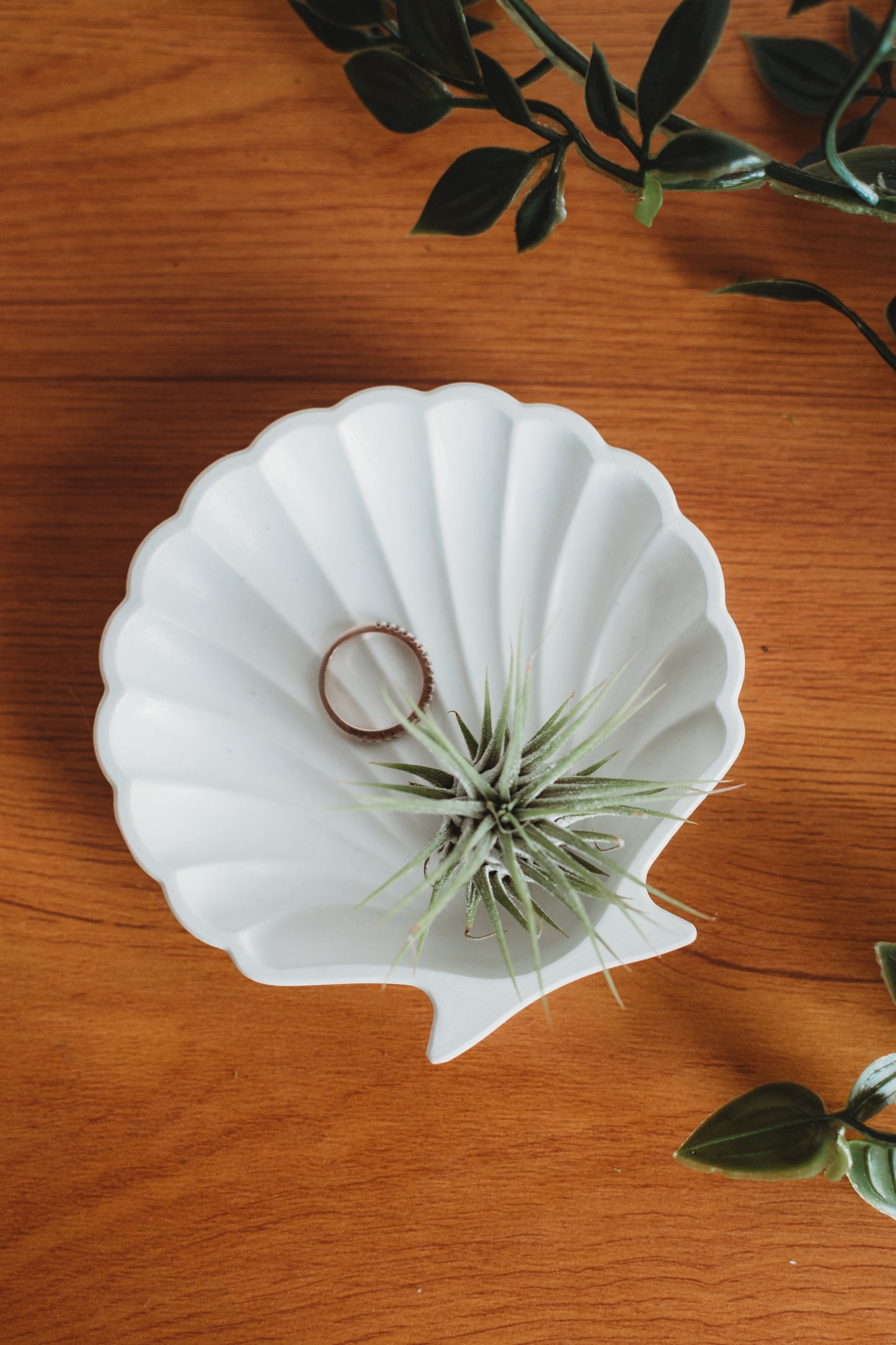 Scalloped Shell Concrete Dish | Clam Shell Beach Decor | Fan Shell Trinket Tray | Air Plant Holder