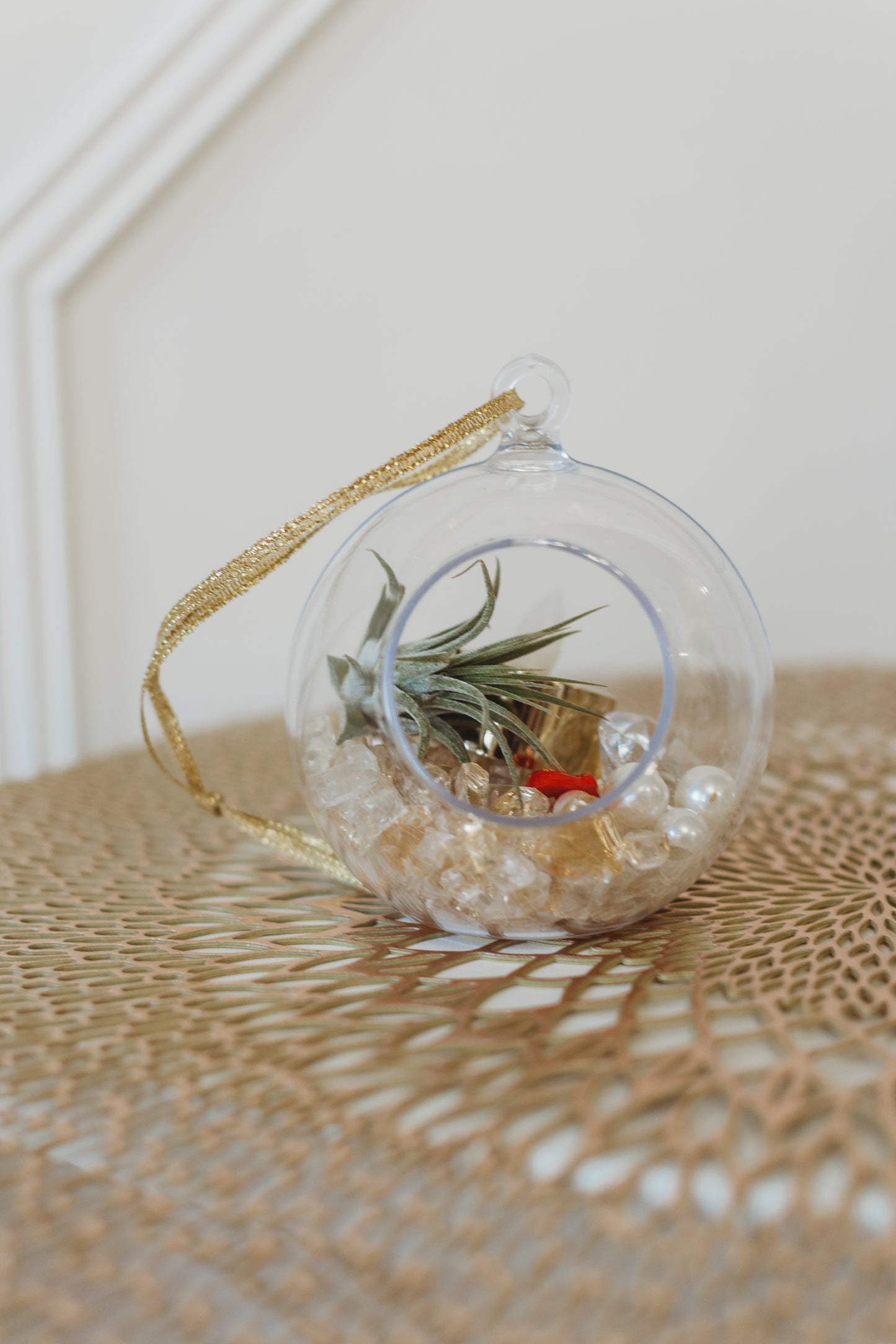 DIY Air Plant Terrarium Kit: Build Your Own Plastic Globe Decor