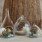 Terrarium Summer Accessories Package | Planter Accessories | Build Your Own & Air Plant | Customize Your Air Plant Terrarium