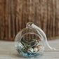 Mini Build Your Own Terrarium Kit | Do It Yourself Air Plant Ornament Terrarium | Customizable Plant Decor