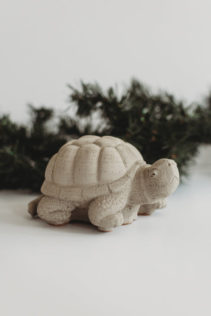Jumbo Concrete Turtle | Paint Your Own Decor Kit | Paint Your Own Activity Set | Paint Your Own Handmade Concrete Gift Set