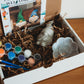 Paint Your Own Mushroom Kit | Paint Your Own Decor Activity Set | Paint Your Own Handmade Concrete Gift Set